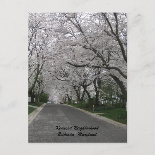 Kenwood, Bethesda, Maryland Briefkaart (Voorkant)
