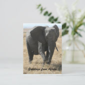 kenya elephant greetings briefkaart (Staand voorkant)