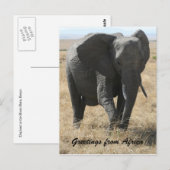 kenya elephant greetings briefkaart (Voorkant / Achterkant)
