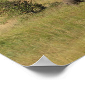 KENYA Elephants Roaming Poster (Hoek)