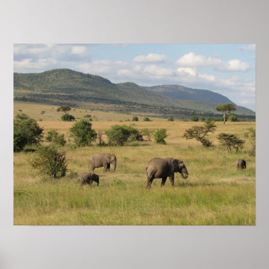 KENYA Elephants Roaming Poster (Voorkant)