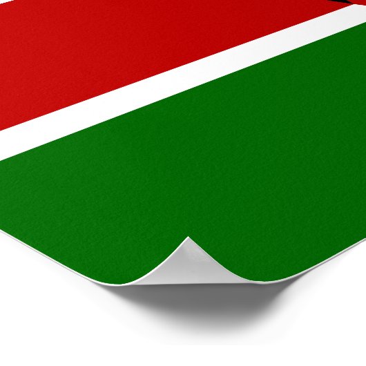Kenya Flag Poster (Hoek)