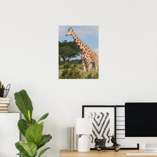KENYA-Giraffe Poster (Thuiskantoor)