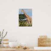 KENYA-Giraffe Poster (Keuken)