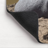 Kenya Hippo, Mara, Afrika Muismat (Hoek)