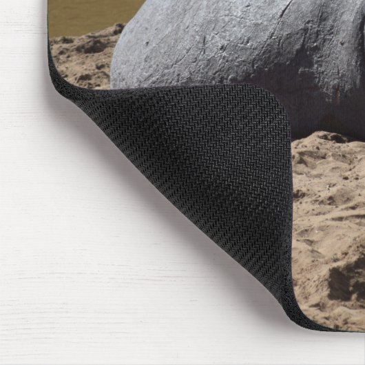 Kenya Hippo, Mara, Afrika Muismat (Hoek)