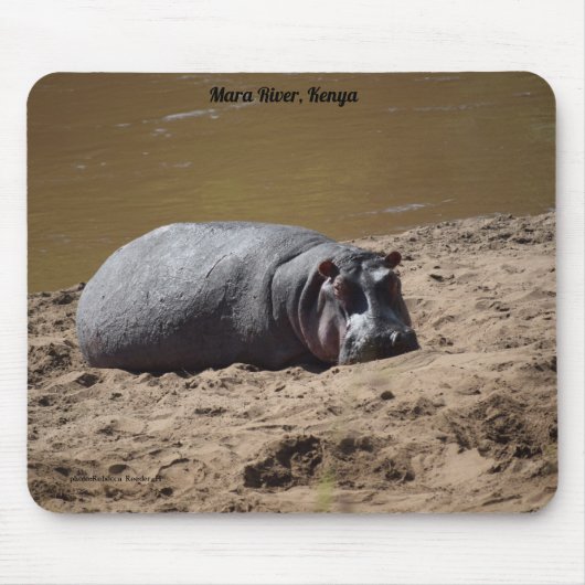 Kenya Hippo, Mara, Afrika Muismat (Voorkant)