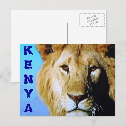 Kenya safari briefkaart (Voorkant / Achterkant)