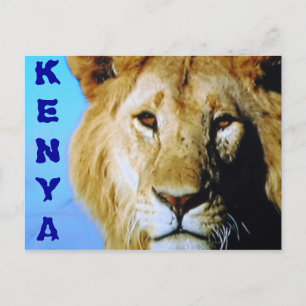 Kenya safari briefkaart