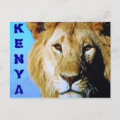 Kenya safari briefkaart (Voorkant)