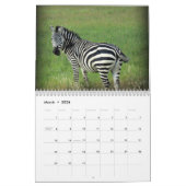 Kenya Safari Kalender (Mar 2026)