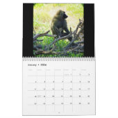Kenya Safari Kalender (Jan 2026)