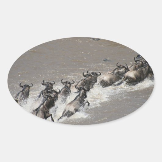 kenya wildebeest run ovale sticker (Voorkant)