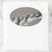 kenya wildebeest run ovale sticker (Tas)