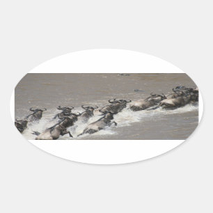 kenya wildebeest run ovale sticker