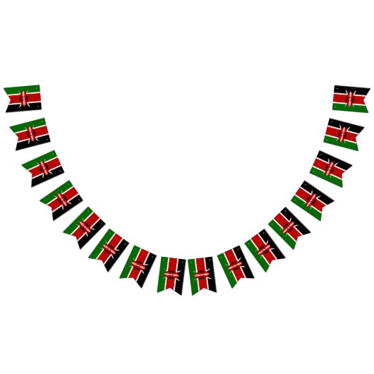 Kenyan Flag & Party Kenya Banners / bruiloften (Alle)