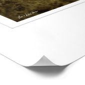 Kenyan Savannah Print (Hoek)