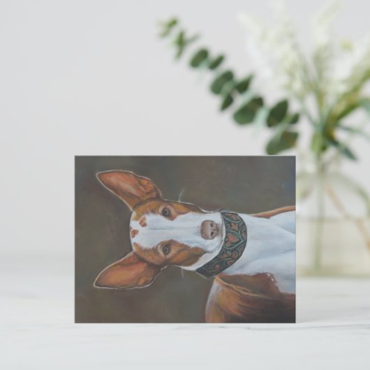 Kenzie het Ibizan Hound Dog Art Briefkaart (Staand voorkant)