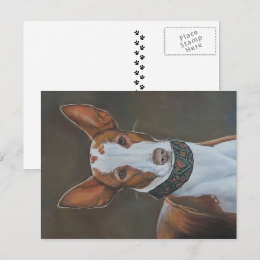 Kenzie het Ibizan Hound Dog Art Briefkaart (Voorkant / Achterkant)