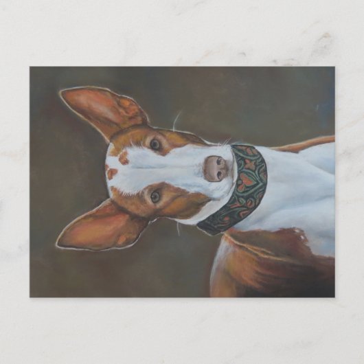 Kenzie het Ibizan Hound Dog Art Briefkaart (Voorkant)