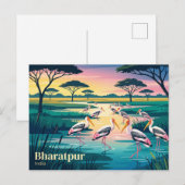 Keoladeo Nationaal Park India Briefkaart (Voorkant / Achterkant)