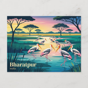 Keoladeo Nationaal Park India Briefkaart