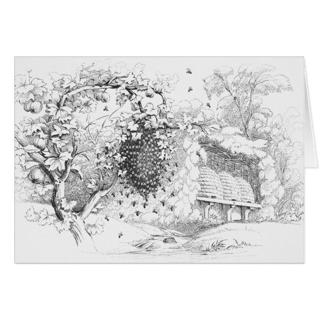  kep bijenkorven tekenen (Voorkant Horizontaal)