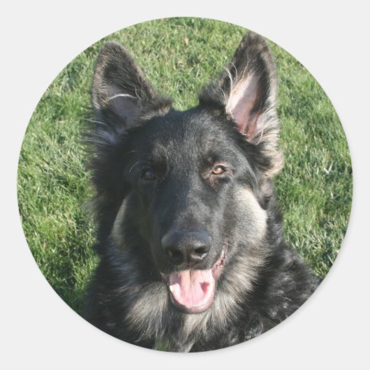 Kepler Ronde Sticker (Voorkant)