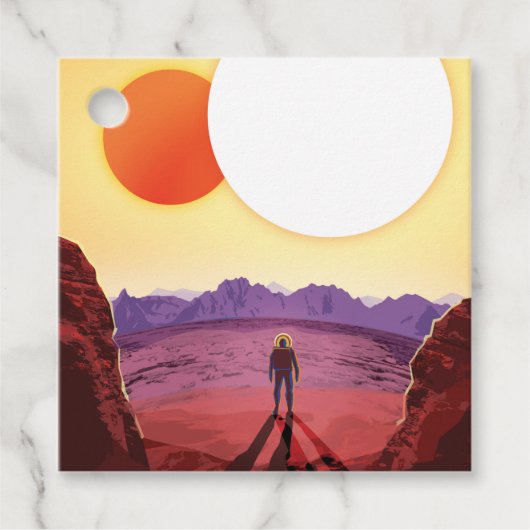 Kepler Ruimtereis Bestemming Planeet Avontuur Bedankjes Labels (Voorkant)