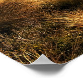 Kepler Track Poster (Hoek)