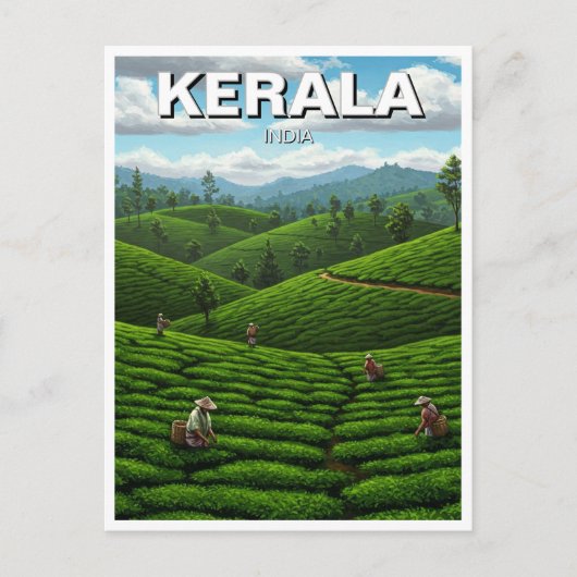 Kerala India Tea Plantation Briefkaart (Voorkant)