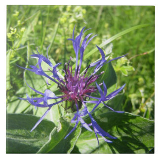 Keramiek aan de muur, blauwe bloem. tegeltje