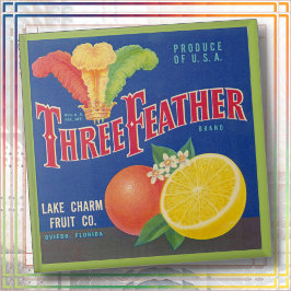 KERAMIEKE TEGEL - "Three Feather" - kratlabel Tegeltje