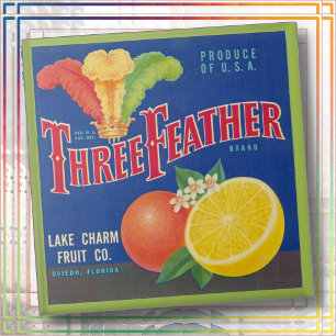 KERAMIEKE TEGEL - "Three Feather" - kratlabel Tegeltje