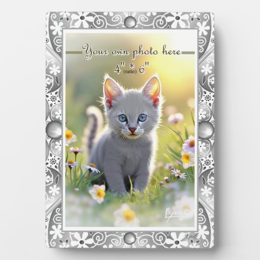 Keramisch kant grijs fotoplaat (voorkant)