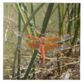 Keramisch keramisch flesje (groot Afbeelding) Tegeltje (Voorkant)