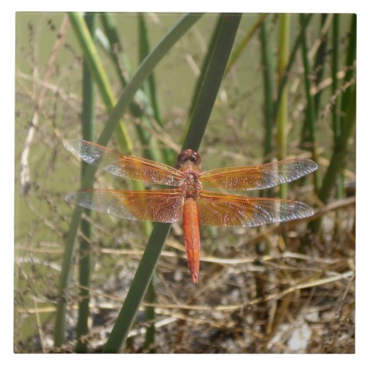 Keramisch keramisch flesje (groot Afbeelding) Tegeltje (Voorkant)
