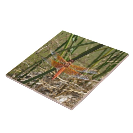 Keramisch keramisch flesje (groot Afbeelding) Tegeltje (Zijkant)