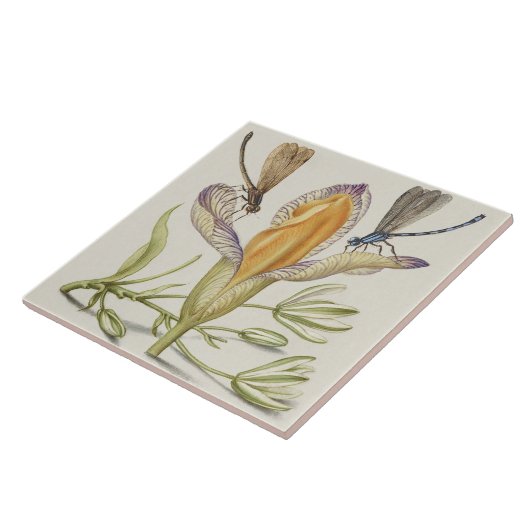 keramisch keramisch keramisch flesje tegeltje (Zijkant)