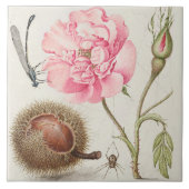  keramisch keramisch keramisch flesje tegeltje (Voorkant)