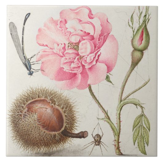  keramisch keramisch keramisch flesje tegeltje (Voorkant)