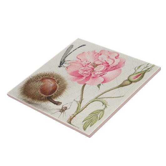  keramisch keramisch keramisch flesje tegeltje (Zijkant)