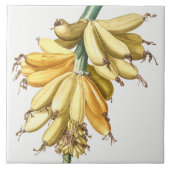  keramisch keramisch keramisch flesje tegeltje (Voorkant)