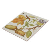  keramisch keramisch keramisch flesje tegeltje (Zijkant)