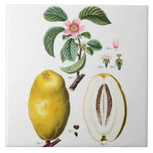  keramisch keramisch keramisch flesje tegeltje