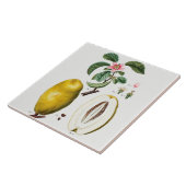  keramisch keramisch keramisch flesje tegeltje (Zijkant)