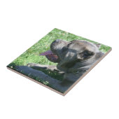 Keramisch keramisch tapijfer van riet Corso Tegeltje (Zijkant)