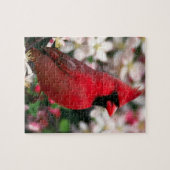 Keramisch keramisch tegel van roodmakreel legpuzzel (Horizontaal)