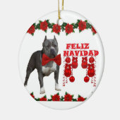 Keramisch keramisch versieringsmerk met Amerikaans Keramisch Ornament (Links)