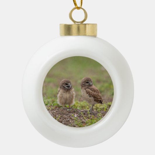 Keramisch kerstversiering voor het stralen keramische bal ornament (Voorkant)